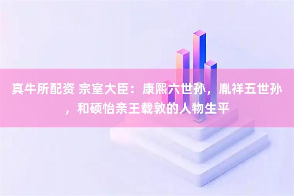 真牛所配资 宗室大臣:康熙六世孙,胤祥五世孙,和硕怡亲王载敦的人物生平