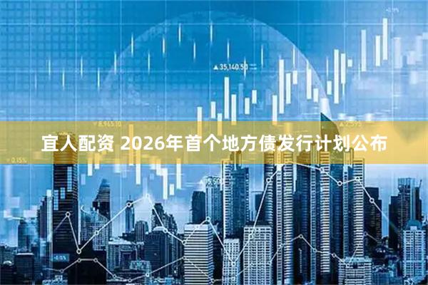 宜人配资 2026年首个地方债发行计划公布