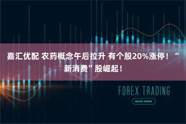 嘉汇优配 农药概念午后拉升 有个股20%涨停！“新消费”股崛起！
