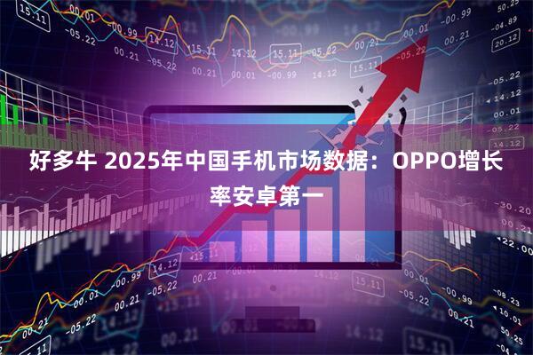 好多牛 2025年中国手机市场数据：OPPO增长率安卓第一