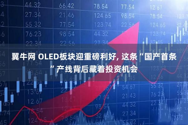 翼牛网 OLED板块迎重磅利好, 这条“国产首条”产线背后藏着投资机会