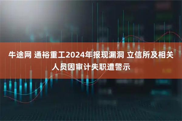 牛途网 通裕重工2024年报现漏洞 立信所及相关人员因审计失职遭警示