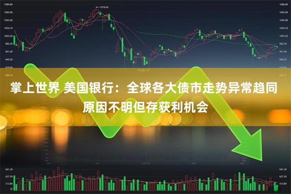 掌上世界 美国银行：全球各大债市走势异常趋同 原因不明但存获利机会