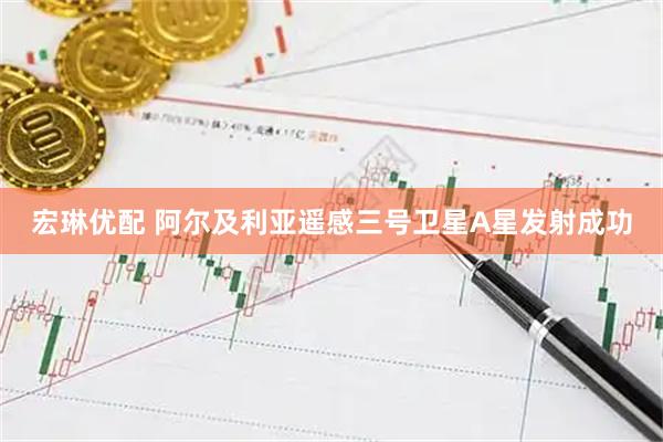 宏琳优配 阿尔及利亚遥感三号卫星A星发射成功